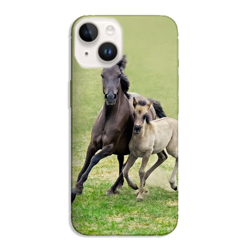 Coque iPhone 15 Horses, Wild Duelmener ponies, mare and foal