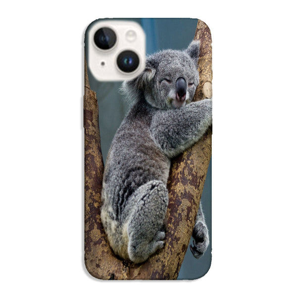 Coque iPhone 15 Koalas Bear Australia