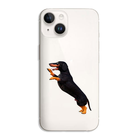 Coque iPhone 15 Teckel Story, la coque silicone antichocs de notre collection animaux et chiens