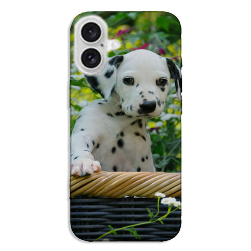 Coque iPhone 16 Chiot Dalmatien
