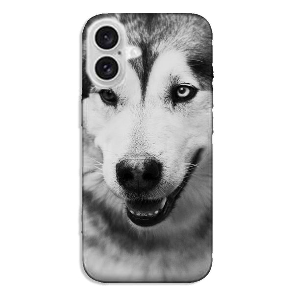 Coque iPhone 16 Husky aux Yeux Clairs