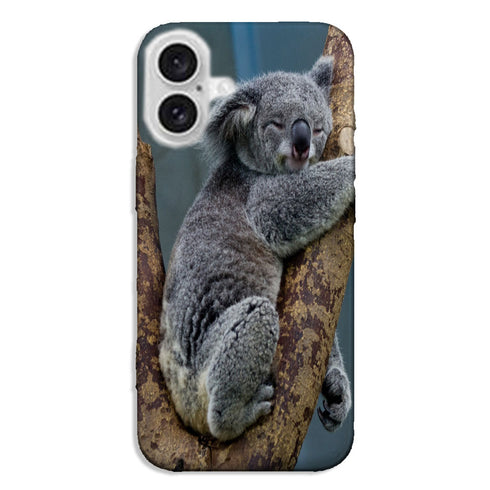 Coque iPhone 16 Koalas Bear Australia