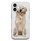 Coque iPhone 16 Labrador Golden