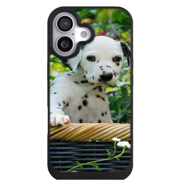 Coque iPhone 17 Animaux Chiot Dalmatien - MaCoquePerso