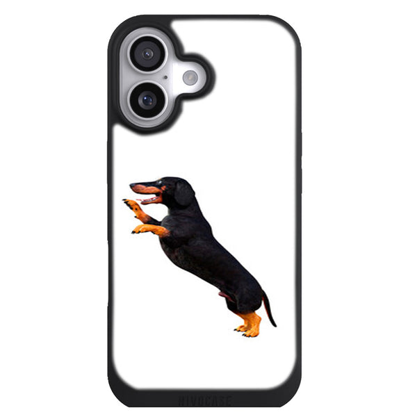 Coque iPhone 17 Animaux Tekel Story 359406567 - MaCoquePerso