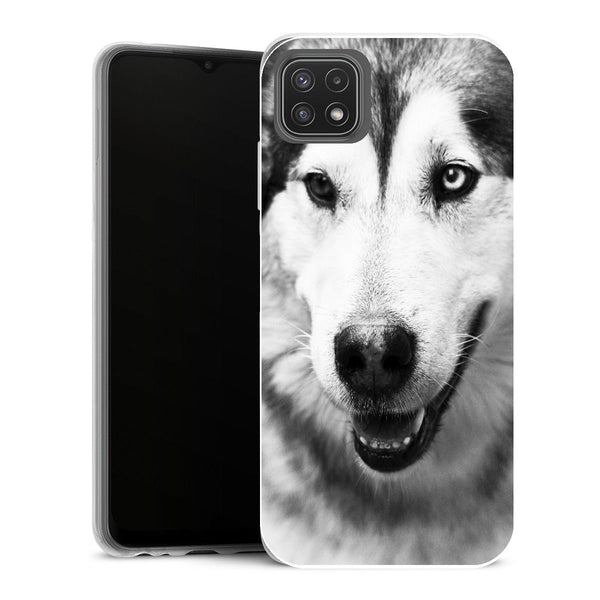 Coque Samsung Galaxy A22 5G Animaux Husky yeux clairs - MaCoquePerso
